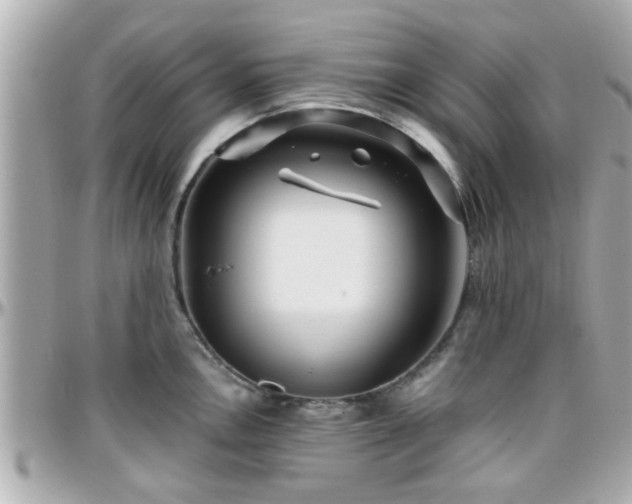 X0000096201146200801251007
