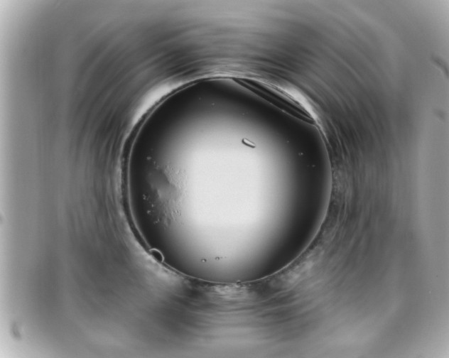 X0000096201147200801251007