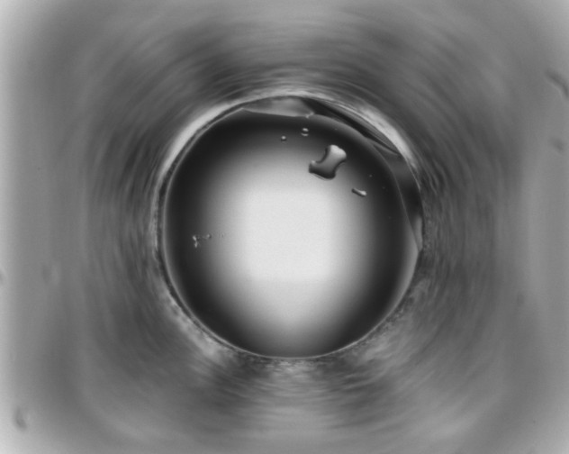 X0000096201148200801251007