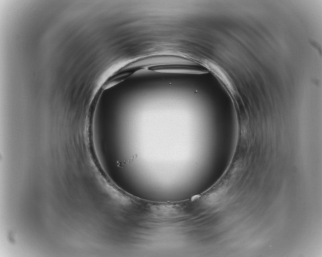 X0000096201149200801251007