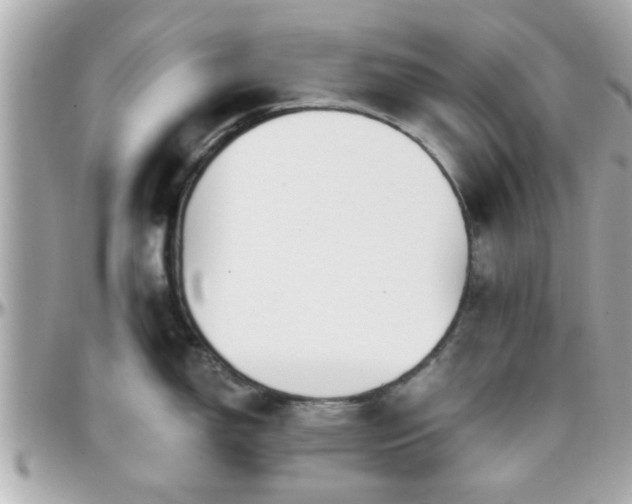 X0000096201150200801251007