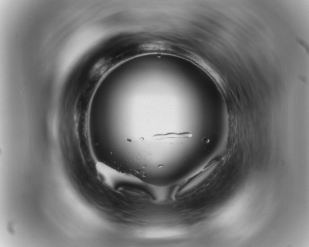 X0000096201151200801251007