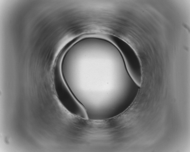 X0000096201152200801251007