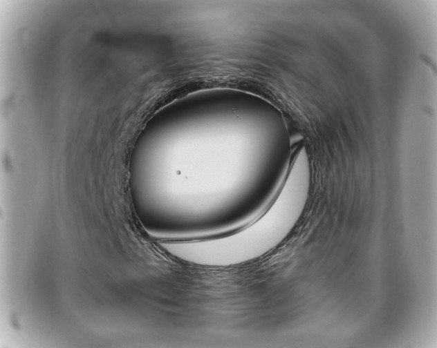 X0000096201153200801251006