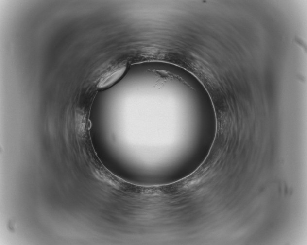 X0000096201154200801251006