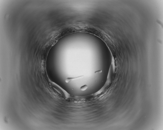 X0000096201156200801251006