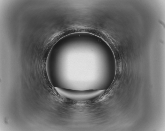 X0000096201157200801251006