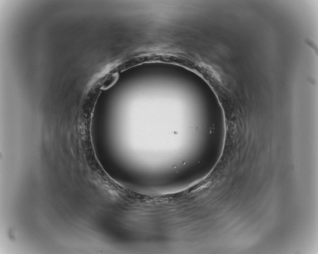 X0000096201159200801251006
