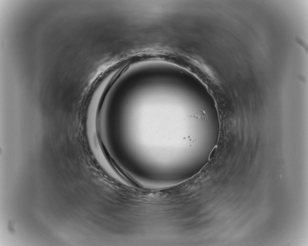 X0000096201160200801251006