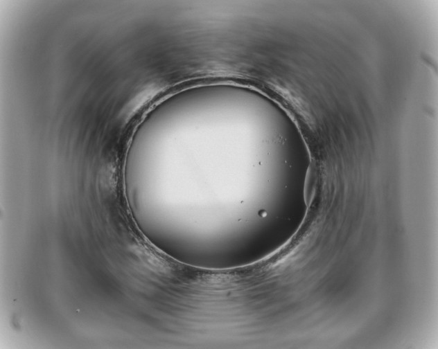 X0000096201163200801251006