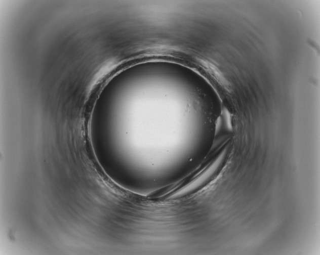 X0000096201164200801251006