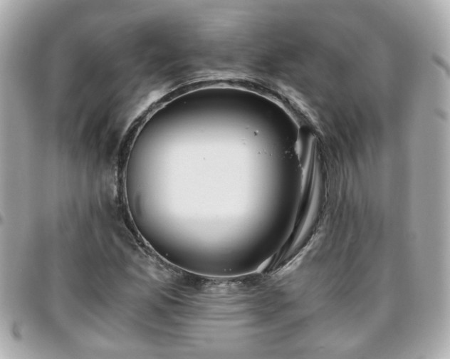 X0000096201165200801251006
