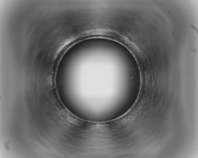 X0000096201166200801251006