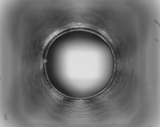 X0000096201167200801251006