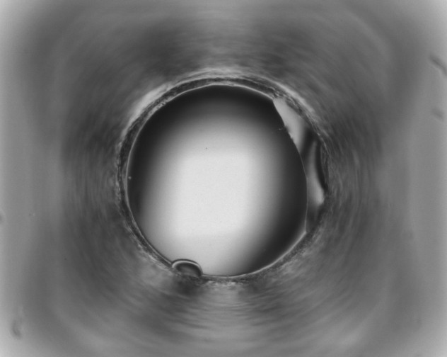 X0000096201168200801251006