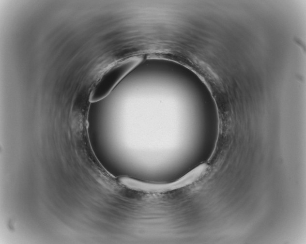 X0000096201169200801251006