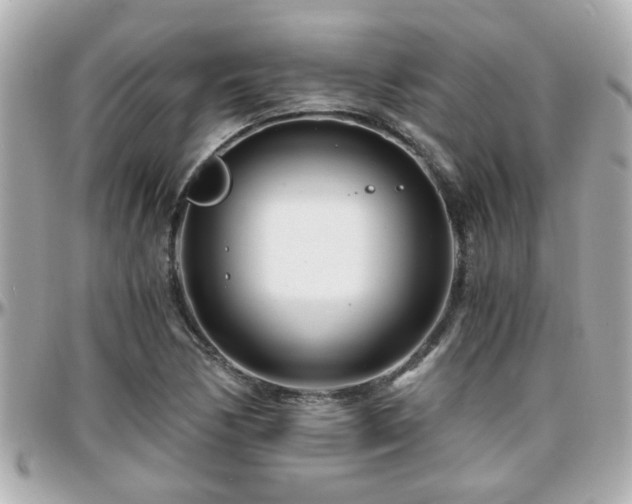 X0000096201170200801251006