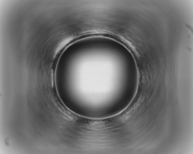 X0000096201171200801251006