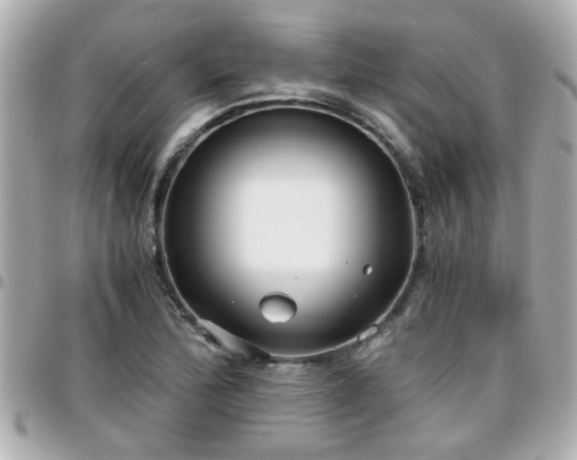 X0000096201172200801251006