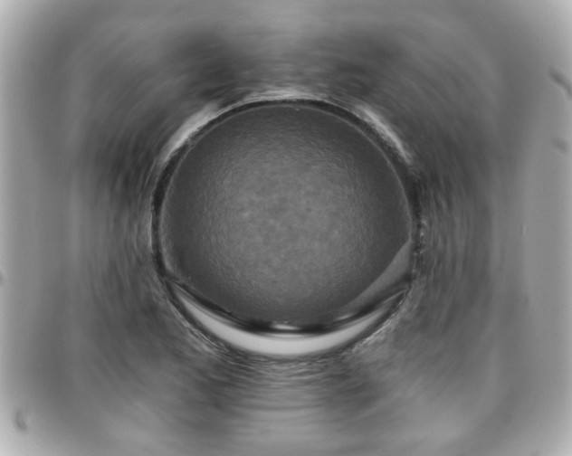 X0000096201173200801251006