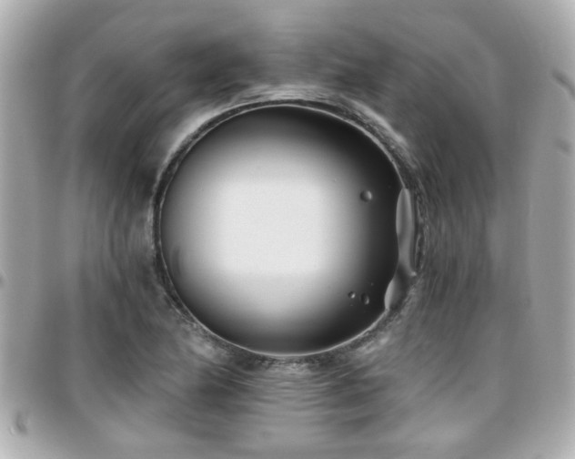 X0000096201174200801251006