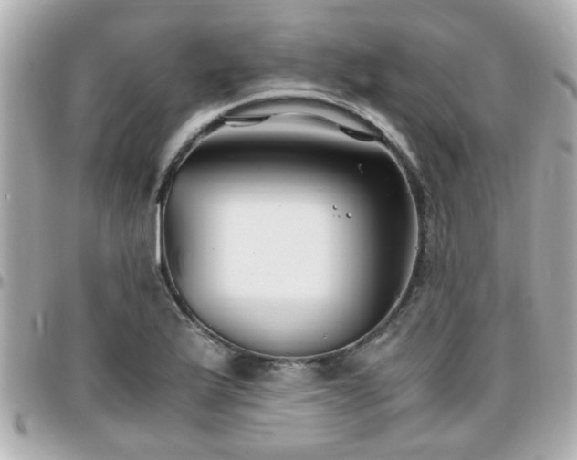 X0000096201175200801251006