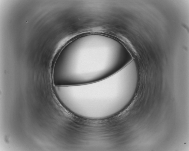 X0000096201176200801251006