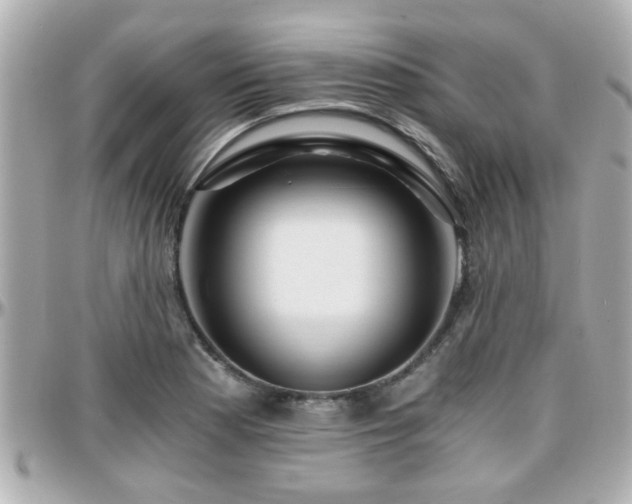 X0000096201177200801251006