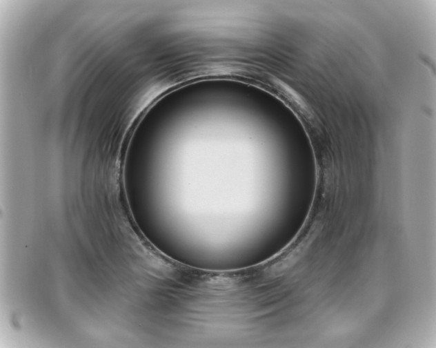 X0000096201178200801251006