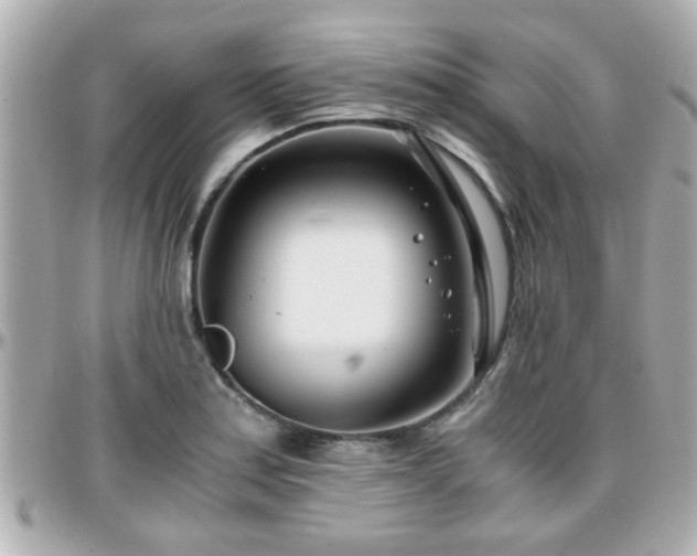X0000096201179200801251006