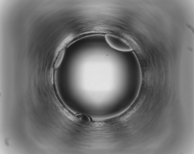 X0000096201180200801251006