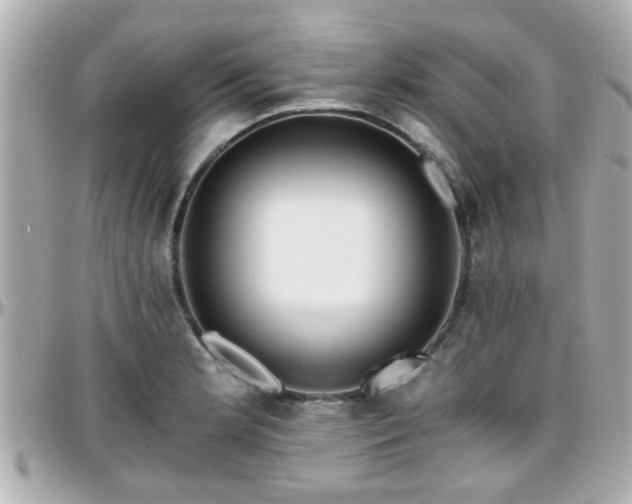 X0000096201181200801251006