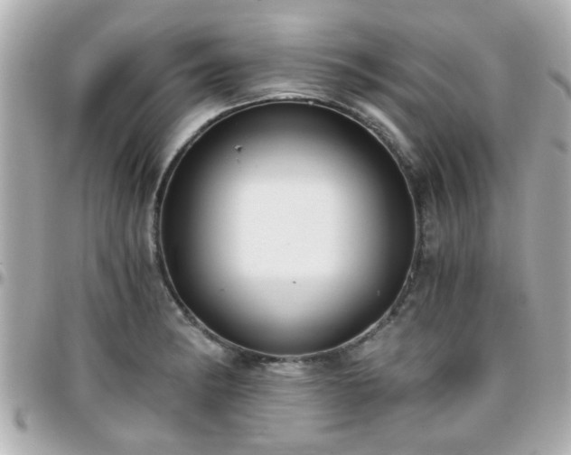X0000096201182200801251006