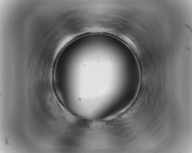 X0000096201183200801251006