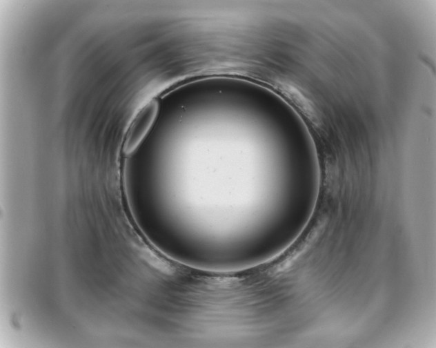 X0000096201184200801251006