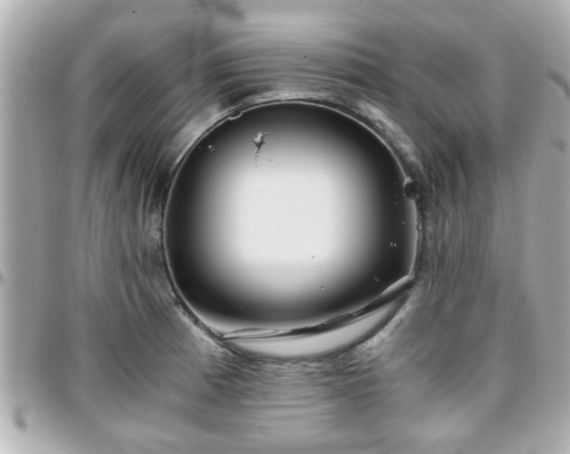 X0000096201185200801251006