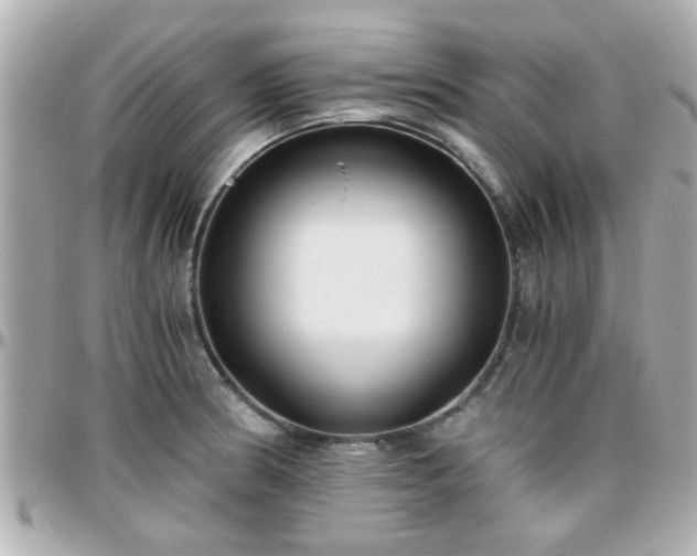 X0000096201186200801251006