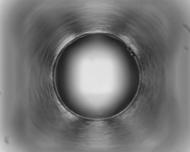 X0000096201189200801251006