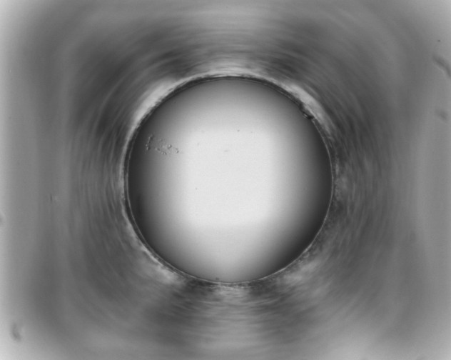 X0000096201191200801251006