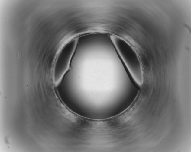 X0000096201192200801251006