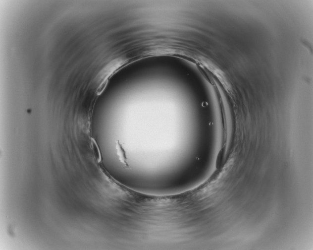 X0000096201193200801251006