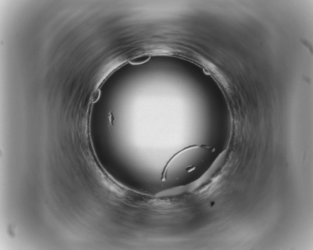 X0000096201194200801251006