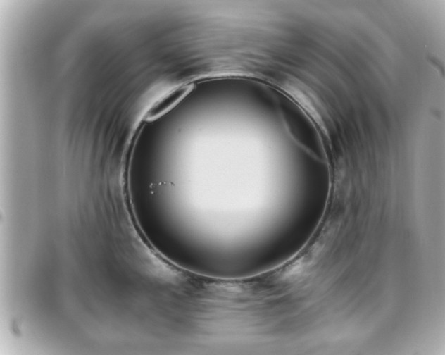 X0000096201197200801251006
