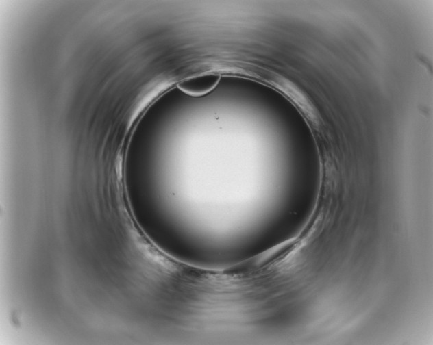 X0000096201198200801251006