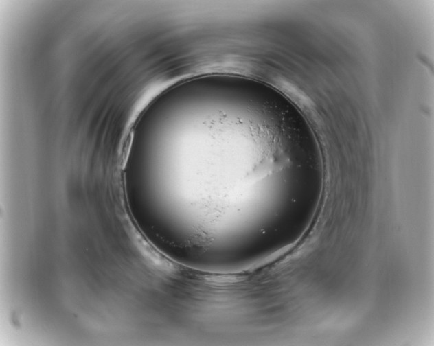 X0000096201200200801251006