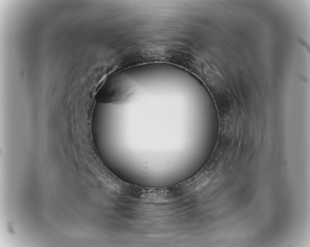 X0000096201201200801251005