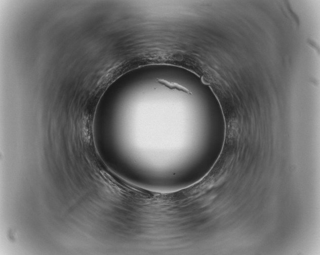 X0000096201202200801251005