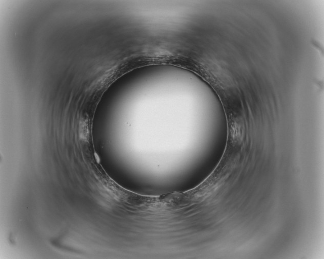 X0000096201204200801251005
