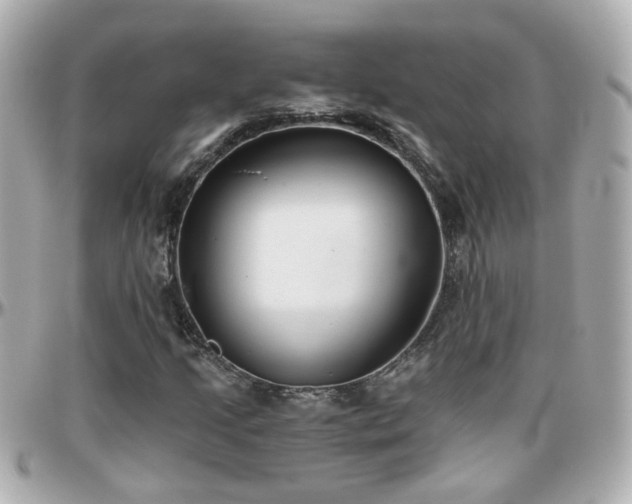 X0000096201205200801251005