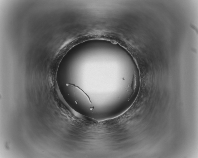 X0000096201206200801251005